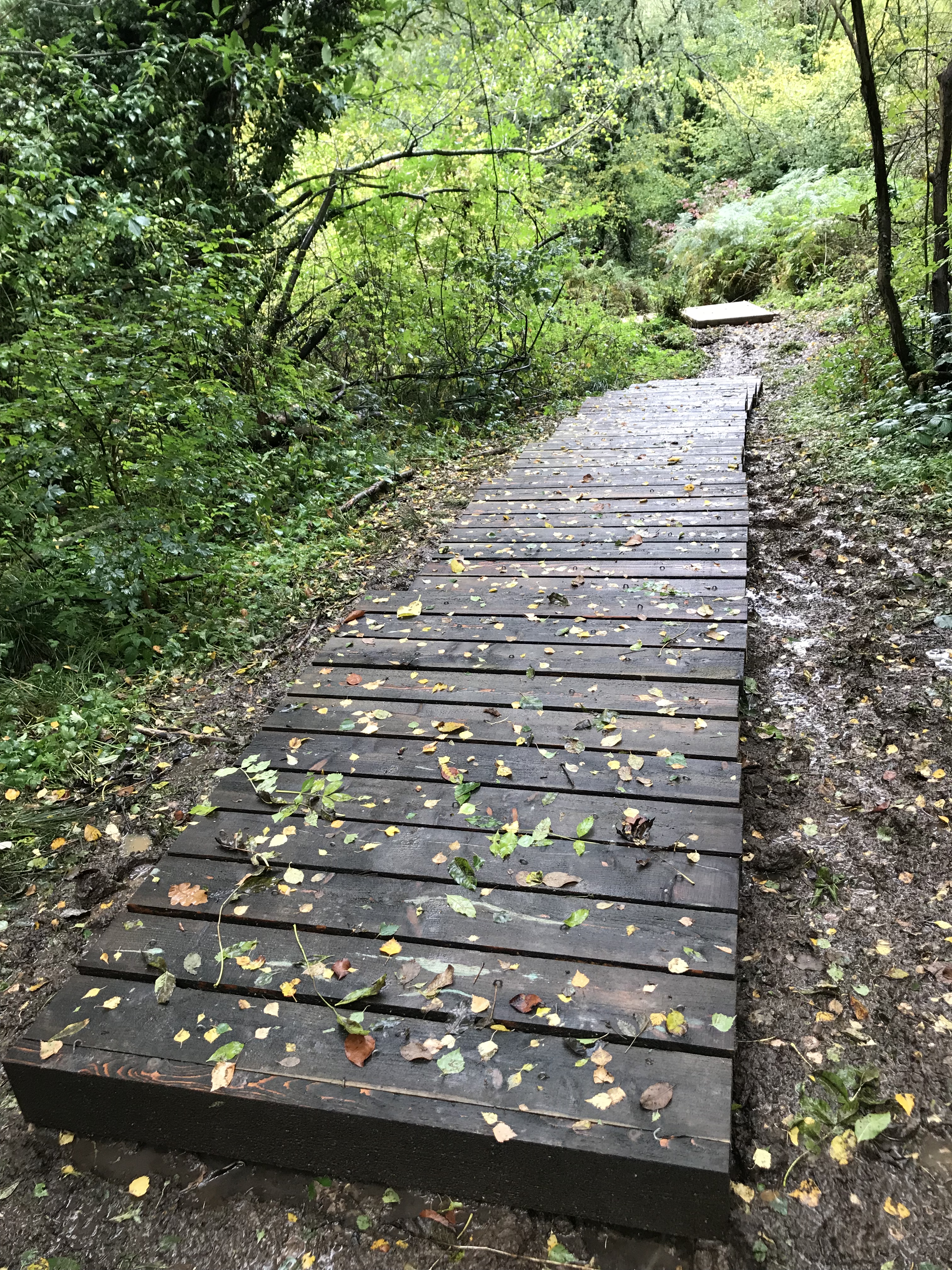 ACD1DB1F-3309-4A23-8911-3275EB64C764