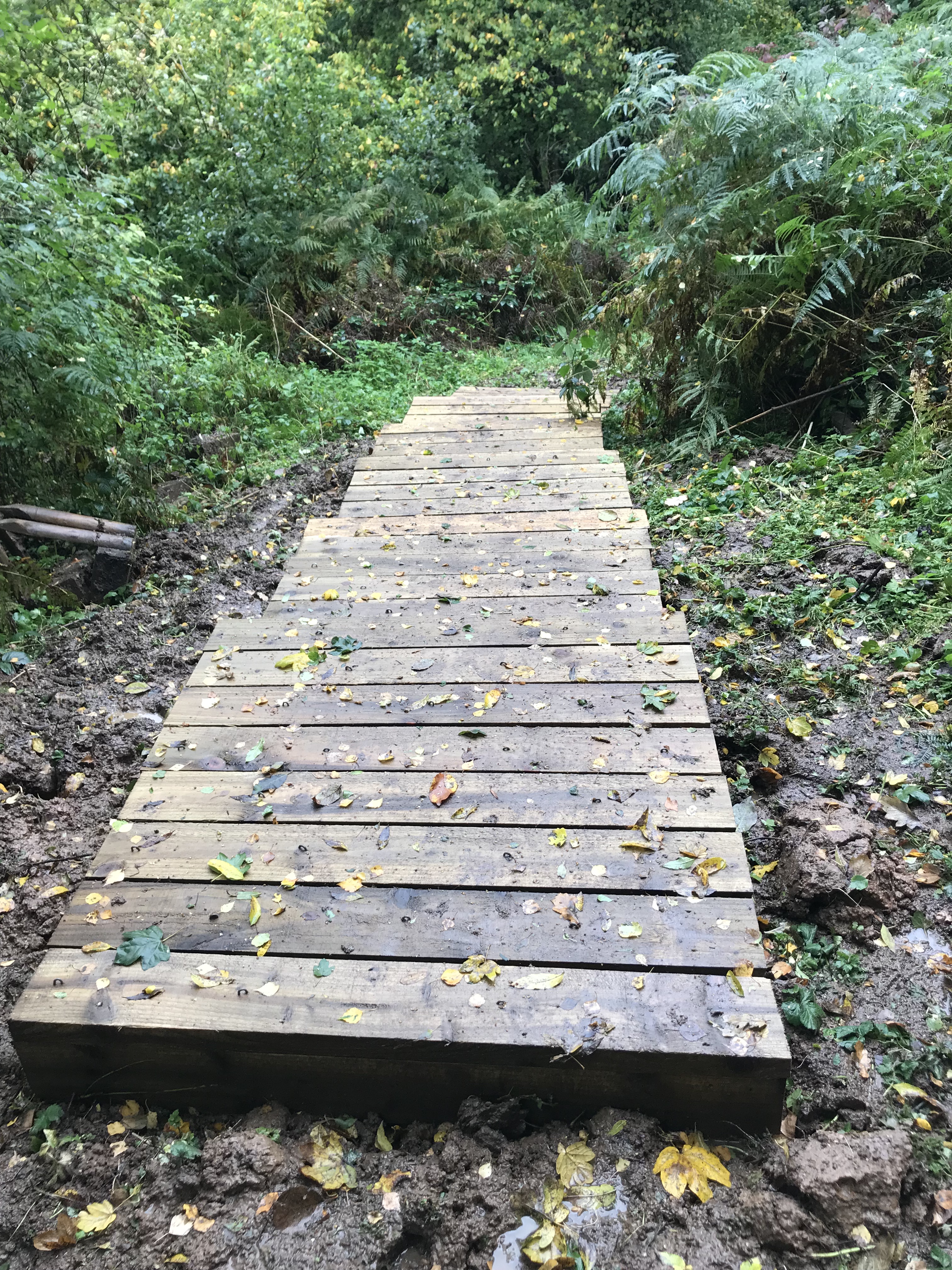 E1E2130D-EBBD-4768-825B-4162247AF577